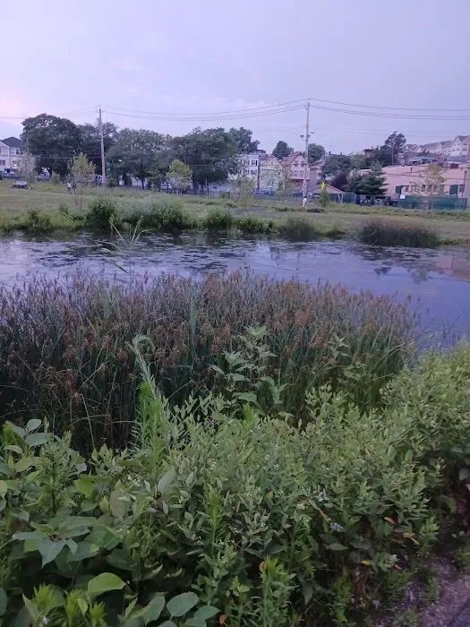 Malfitano Park Picture 2