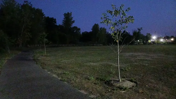 Malfitano Park Picture 6