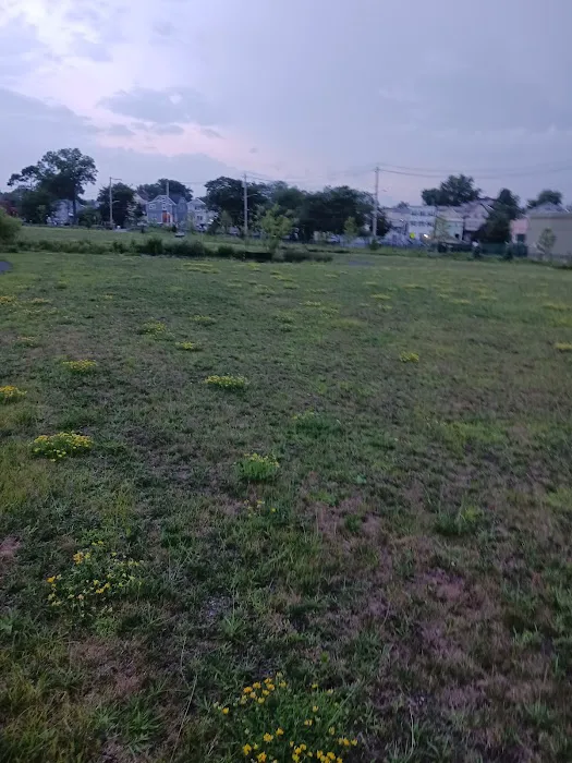 Malfitano Park Picture 7