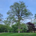 Jay Estate Gardens