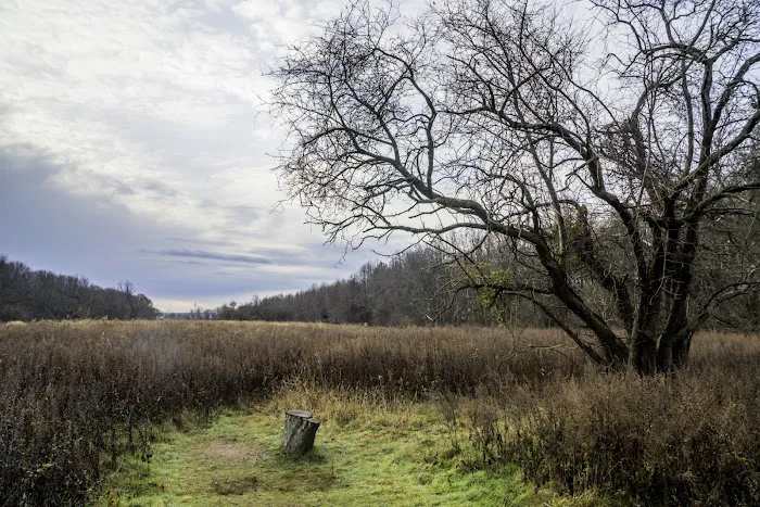 Marshlands Conservancy Picture 1