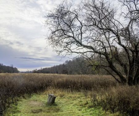 Marshlands Conservancy