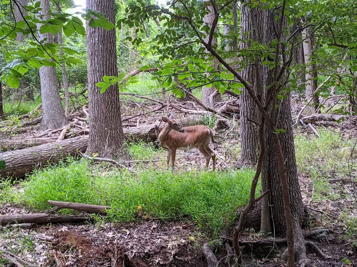 Marshlands Conservancy Picture 10