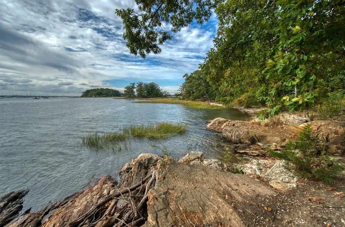 Marshlands Conservancy Picture 8