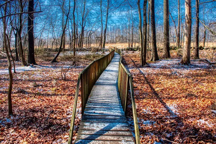 Marshlands Conservancy Picture 4