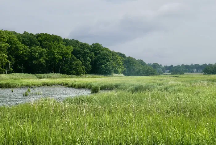 Marshlands Conservancy Picture 9
