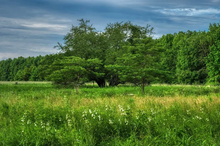 Marshlands Conservancy Picture 7