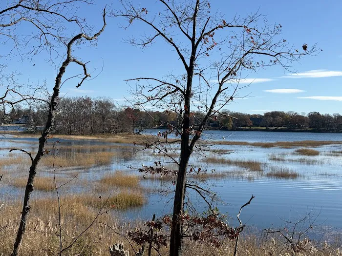 Marshlands Conservancy Picture 6