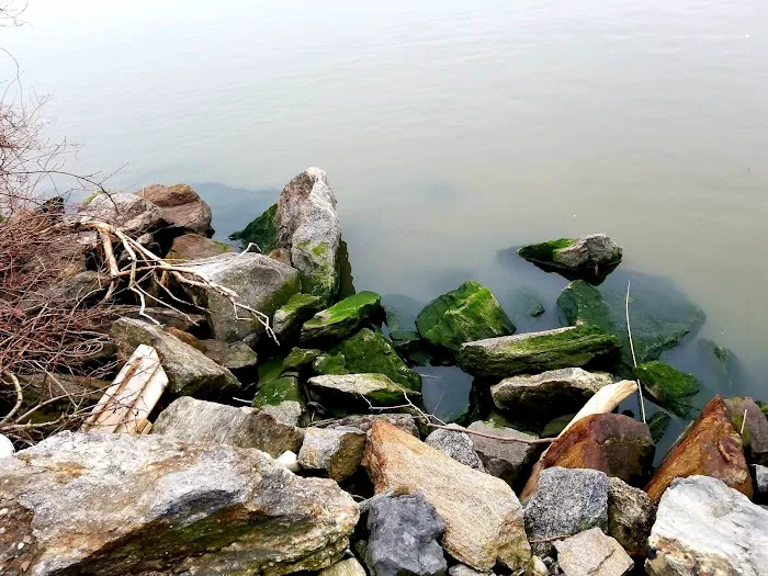 Riverdale Waterfront Promenade Picture 7