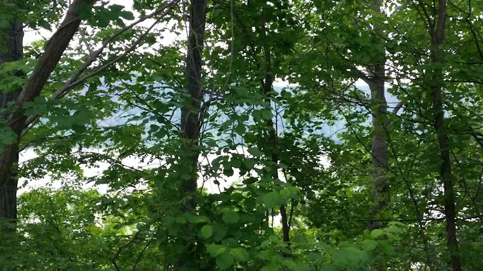 Otis Park Picture 2