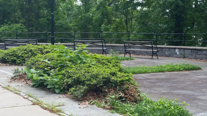Otis Park Picture 1