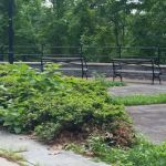 Otis Park
