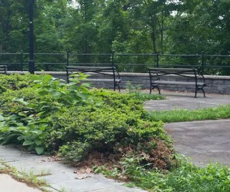 Otis Park