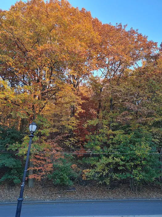 Otis Park Picture 9