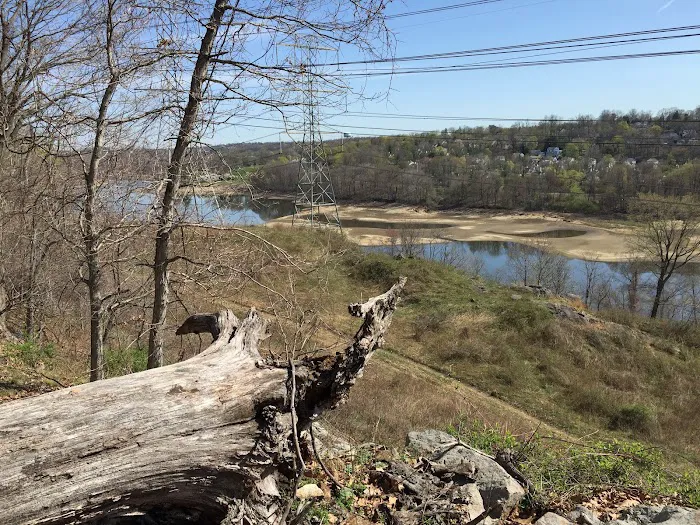 Sprain Ridge Park Picture 4