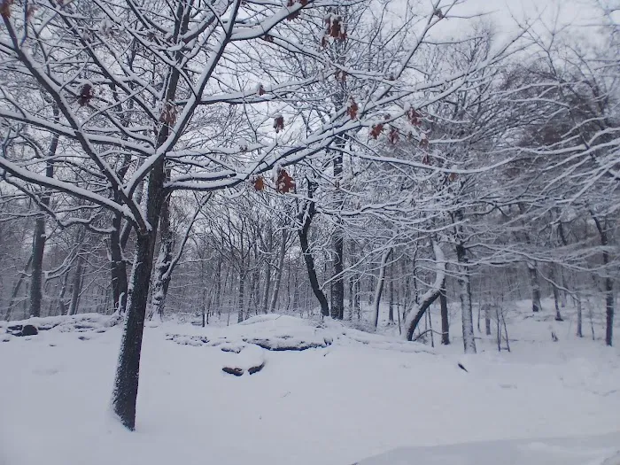 Sprain Ridge Park Picture 6