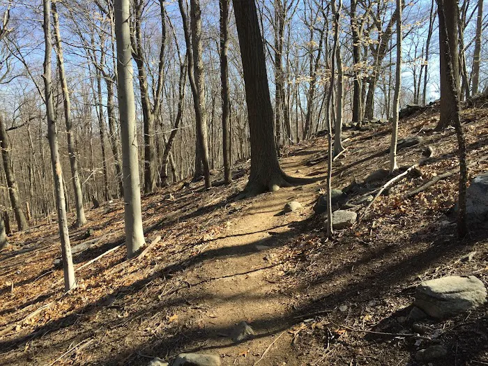 Sprain Ridge Park Picture 8