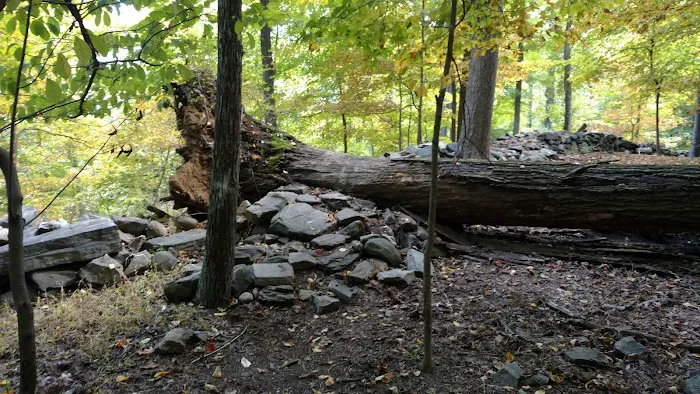 Sprain Ridge Park Picture 7