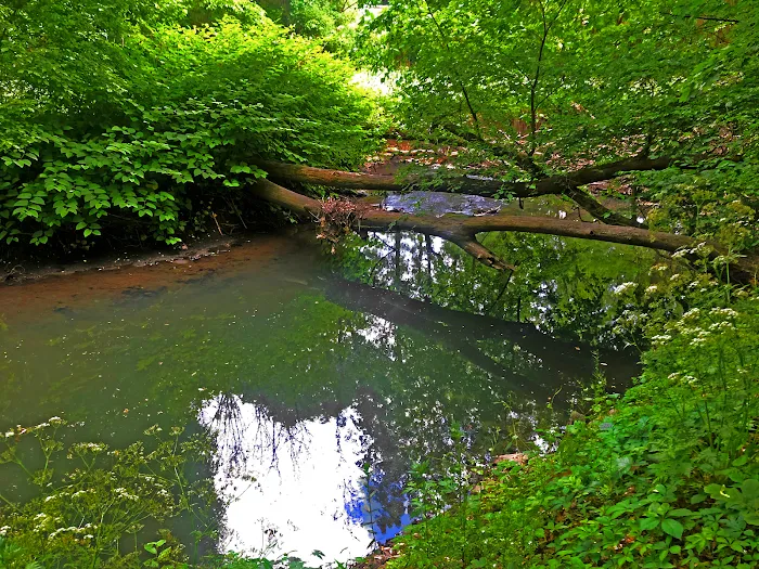 South County Trailway Picture 6
