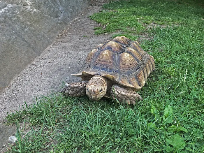 Nature Center at Greenburgh Picture 10