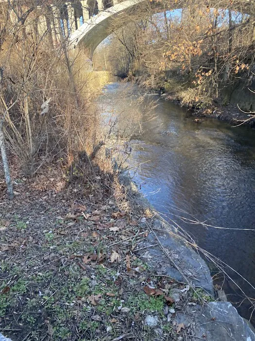 Hartsdale Duck Pond Picture 4