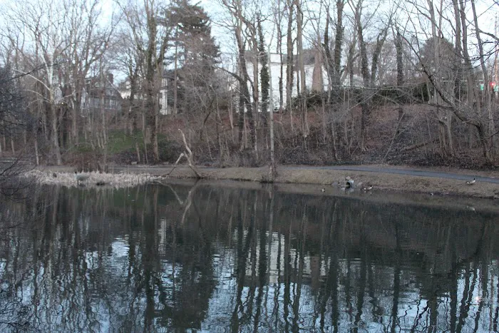 Hartsdale Duck Pond Picture 2