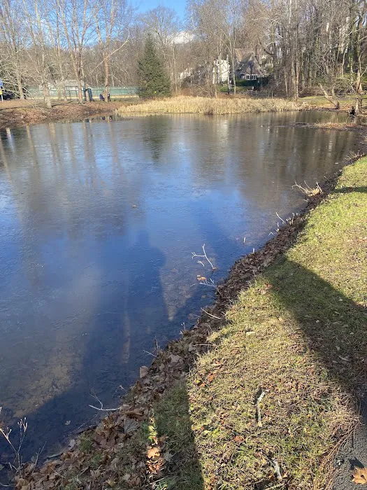 Hartsdale Duck Pond Picture 3