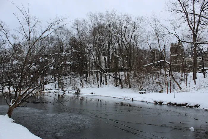 Hartsdale Duck Pond Picture 5