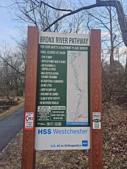 Hartsdale Duck Pond Picture 6