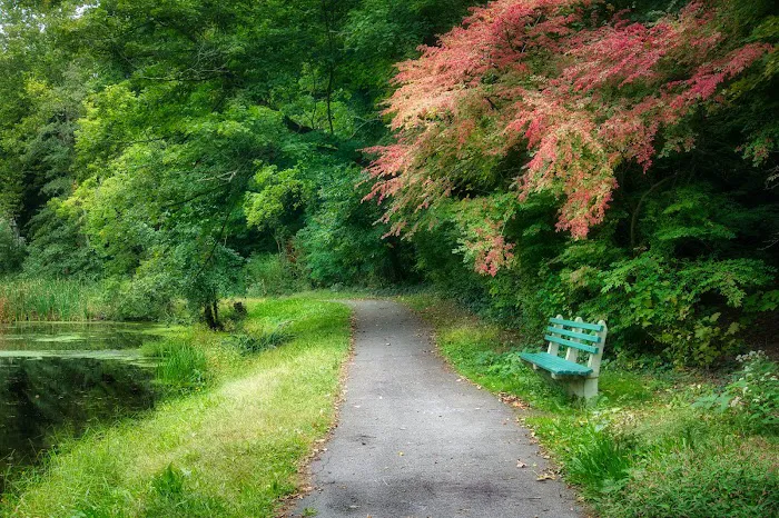 Hartsdale Duck Pond Picture 9