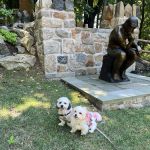 Martin Ginsburg Park