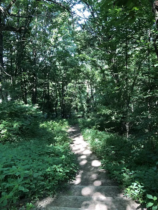 Raoul Wallenberg Forest Picture 8
