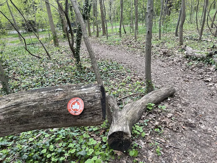 Raoul Wallenberg Forest Picture 3
