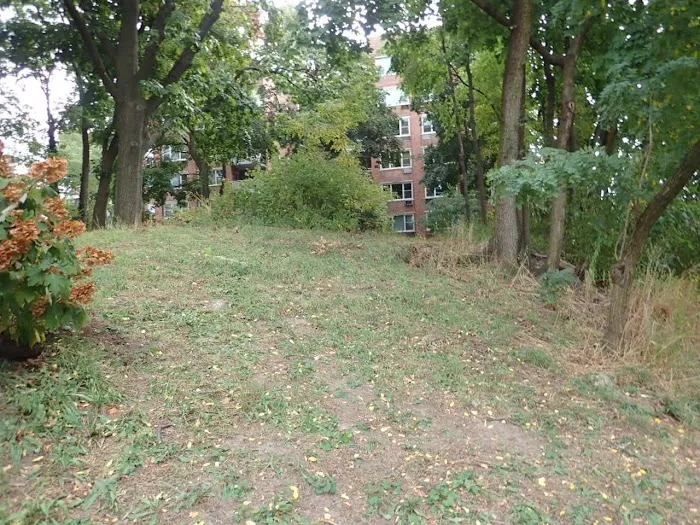 Phyllis Post Goodman Park Picture 6