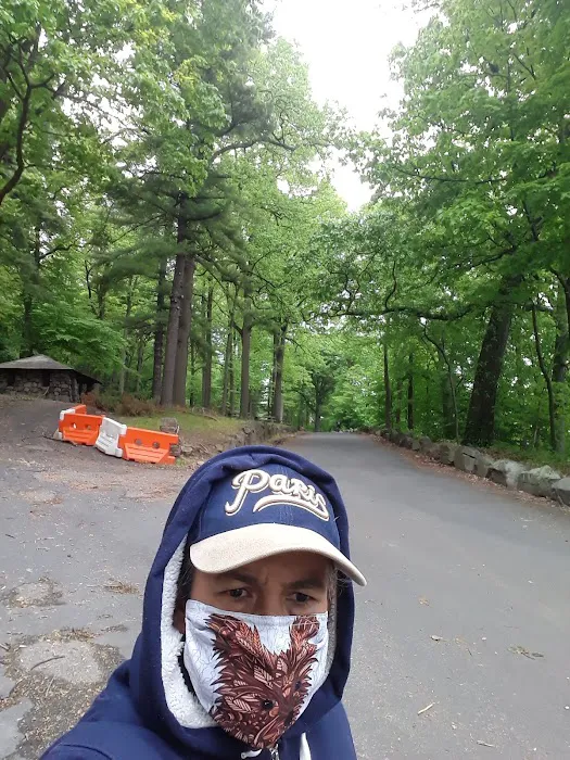 Phyllis Post Goodman Park Picture 5