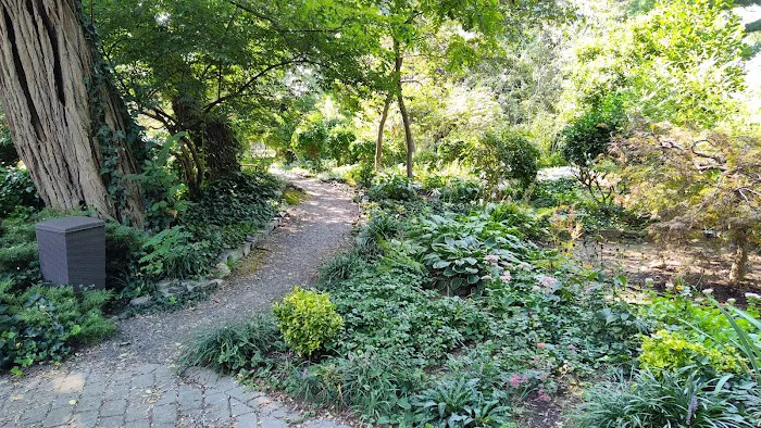 Bruce's Garden Picture 1