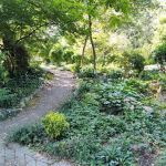 Bruce's Garden