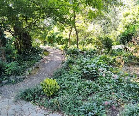 Bruce's Garden