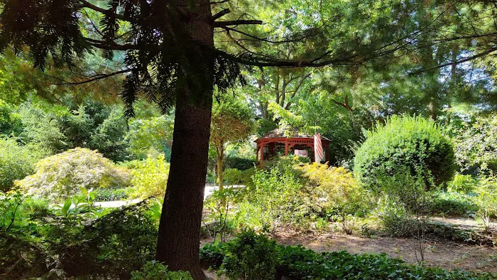Bruce's Garden Picture 5