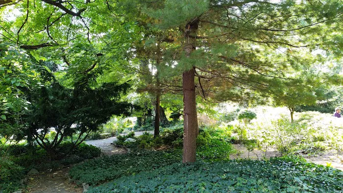 Bruce's Garden Picture 2