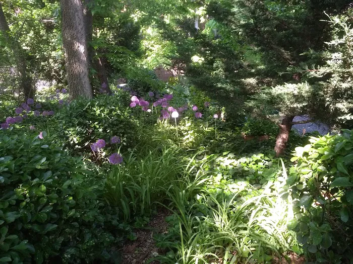 Bruce's Garden Picture 7