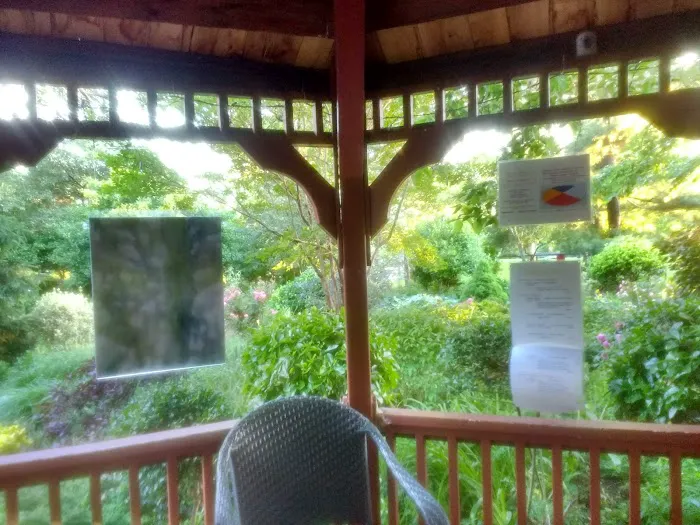 Bruce's Garden Picture 3