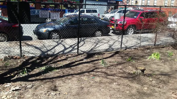 Green Patch on Walton Picture 5