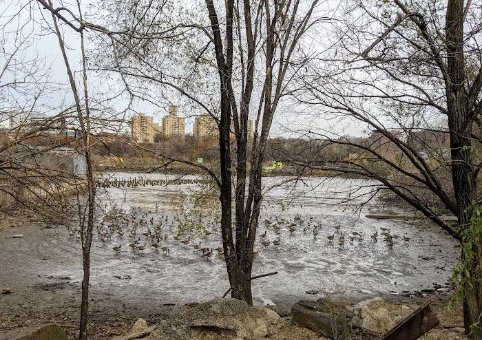 Inwood's North Cove Picture 2