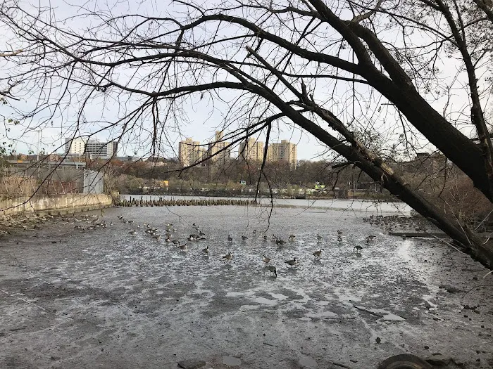 Inwood's North Cove Picture 1