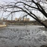 Inwood's North Cove
