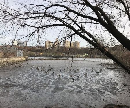 Inwood's North Cove