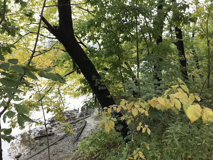 Sherman Creek Picture 1