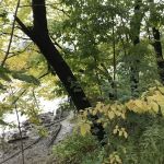 Sherman Creek