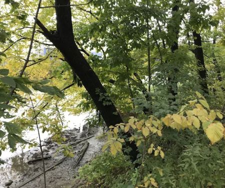 Sherman Creek
